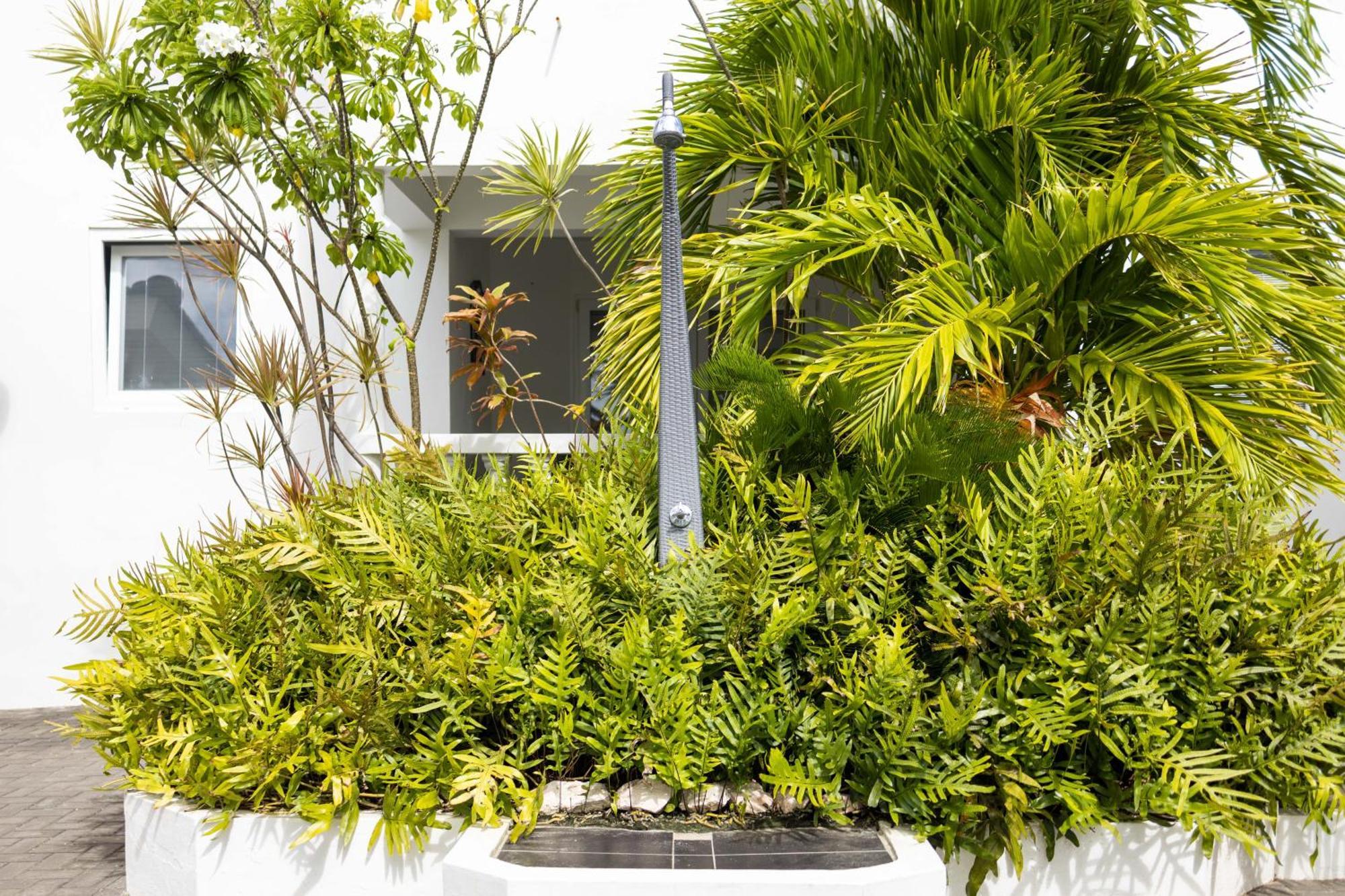 Appartamento Palm Crest Jan Thiel Esterno foto
